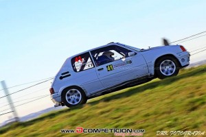 Se vende o cambia 205 grupo a