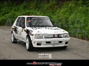 Vendo 205 RALLY 