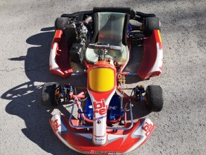 Venta Kart Birel Motor Rotax 125 automático