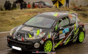 Peugeot 207 rally grupo a