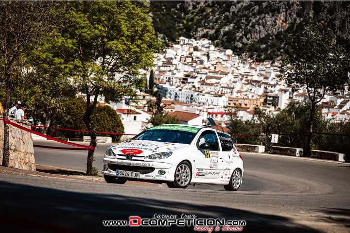 Peugeot 206 Gr A